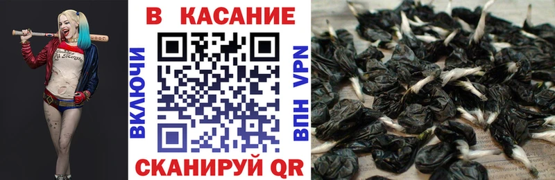 Купить наркотики Стерлитамак Cocaine  mega ССЫЛКА  ГАШИШ  Марихуана  Меф мяу мяу 