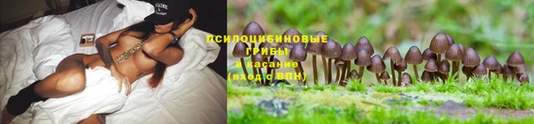бутик Гусев